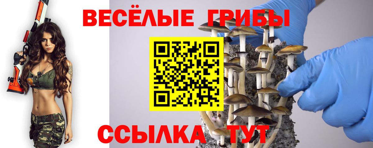 Псилоцибиновые грибы Psilocybine cubensis Жуковский