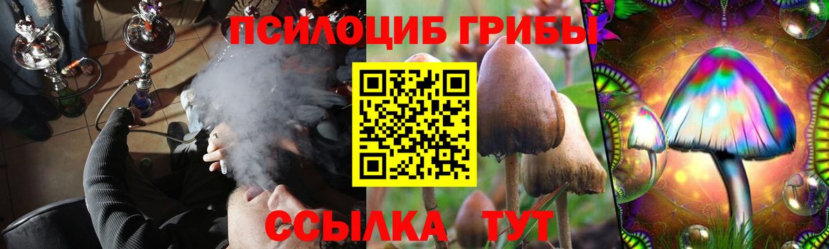 Жуковский  Галлюциногенные грибы ЛСД  Вход с VPN 